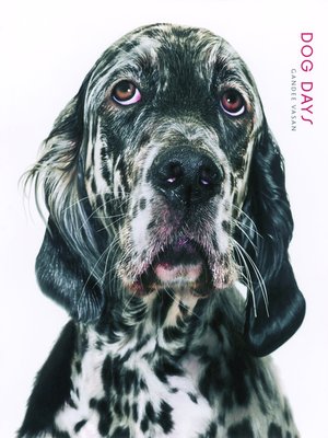 cover image of Dog Days